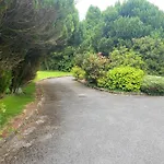 Casa de hóspedes Palm Grove Cashel (Tipperary)