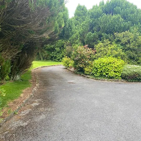 Pensión Palm Grove Cashel (Tipperary)