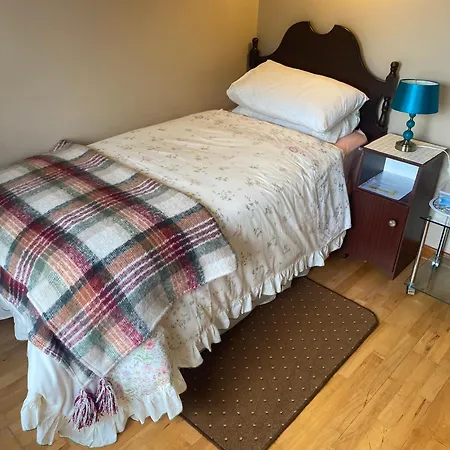 Palm Grove Pensión Cashel (Tipperary)